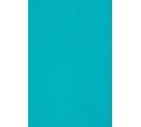 Netuno 20x cartoncino colorato blu formato A4 210x 297 mm Burano Azzurro Reale carta colorata per lavoretti bricolage fai da te bigliettini inviti partecipazioni Natale matrimonio compleanno