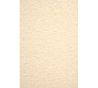 Netuno 20x cartoncino marmorizzato beige formato A4 21 x 29,7 cm 180g Aster Laguna Light Brown carta marmorizzata beige A4 per diplomi certificati inviti biglietti cartoncini stampante effetto marmo