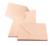 Netuno 25 biglietti pieghevoli con busta formato B6 12,5 x 17,5 colore salmone carta colorata Rainbow set creativo cartoline e buste per inviti partecipazioni biglietti auguri matrimonio compleanno