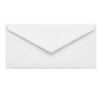Netuno 25 buste da lettera lunghe écru DL 22 x 11 cm 130g Flora Anice buste formato americano carta riciclata per compleanno battesimo matrimonio comunione inviti partecipazioni biglietti auguri