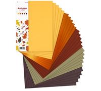 Netuno 25x cartoncini colorati formato A4 210× 297 mm 5 colori assortiti fogli colorati set di carta colorata per lavoretti bricolage fai da te carta da zucchero diversi colori motivo autunno