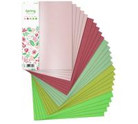 Netuno 25x cartoncini colorati formato A4 210× 297 mm 5 colori fogli colorati set di carta colorata per lavoretti bricolage fai da te carta da zucchero diversi colori motivo primavera