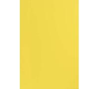 Netuno 25x cartoncino colorato giallo formato A4 210 × 297 mm 210g Sirio Color Limone cartoncino spesso colorato per fai da te bigliettini inviti partecipazioni Natale matrimonio compleanno