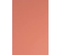 Netuno 25x cartoncino colorato rosa chiaro formato A4 210 × 297 mm 210g Sirio Color Flamingo cartoncino colorato spesso per decorazioni artistiche artigianali inviti bigliettini bricolage