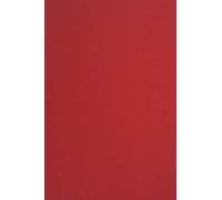 Netuno 25x cartoncino colorato rosso formato A4 210 × 297 mm 210g Sirio Color Lampone cartoncini colorati da stampare carta spessa elegante A4 per lavoretti natalizi inviti partecipazioni