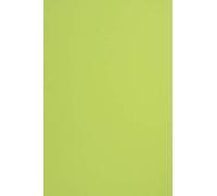 Netuno 25x cartoncino colorato verde chiaro formato A4 210 × 297 mm 210g Sirio Color Lime cartoncino spesso colorato per fai da te bigliettini inviti partecipazioni Natale matrimonio compleanno