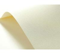 Netuno 40x cartoncino goffrato raster avorio formato A5 14,8 x 21 cm 246g carta strutturata goffrata per biglietti visita auguri partecipazioni inviti matrimonio compleanno carta textured