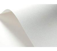 Netuno 40x cartoncino goffrato rigato bianco formato A5 14,8 x 21 cm 246g carta strutturata goffrata per biglietti visita auguri partecipazioni inviti matrimonio compleanno carta textured