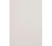 Netuno 50 fogli cartoncino colorato grigio chiaro A4 21 x 29,7 cm 300g Malmero Cendre cartoncino ecologico per progetti creativi fai da te biglietti da visita menu cartellini inserti calendari