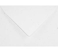 Netuno 500 buste lettera écru formato B6 12,5 x 17,5 cm 130g Flora Anice buste ecologiche carta riciclata per inviti partecipazioni matrimonio compleanno battesimo Natale Pasqua biglietti auguri