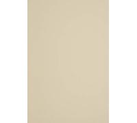 Netuno 50x carta riciclata ecru formato A4 210x 297 mm 110g Woodstock Betulla carta ecologica crema vintage retrò stampabile per corrispondenza lettere stampanti partecipazioni inviti bigliettini