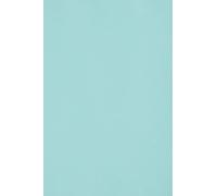 Netuno 50x cartoncino colorato blu chiaro formato SRA3 320x 450 mm Burano Azzurro fogli colorati da stampare partecipazioni matrimonio compleanno Natale biglietti carta colorata stampabile