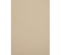 Netuno 50x cartoncino ecologico beige chiaro formato A4 210x 297 mm 250g Crush Grape carta riciclata colorata creativa naturale per Packaging di lusso Inviti matrimonio partezipazioni Etichette