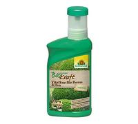 Neudorff BioKraft Vitalkur per Buxus & Ilex - concentrato rivitalizza i bossi indeboliti da parassiti, malattie, gelo e secchezza, 300 ml