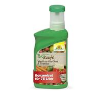 Neudorff BioKraft Vitkur per frutta e verdura - Concentrato con equiseto naturale rivitalizza piante suscettibili di parassiti e malattie, 300 ml