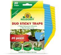 Neudorff Duo Sticky Traps - Trappole adesive blu contro i tripidi e trappole adesive gialle contro i moscerini sciaridi. Senza insetticidi, 20 pezzi