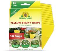 Neudorff Trappole adesive gialle per moscerini dei funghi, non tossiche, per interni, per piante d'appartamento, altamente efficaci, resistenti all'acqua e al calore, carta mosca appiccicosa per vasi