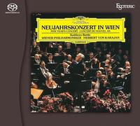 neujahrskonzert in wien