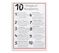Neural Adaptation Chart Poster Behavioral Science Office Decor