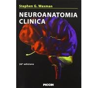 Neuroanatomia clinica