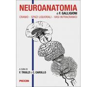Neuroanatomia. Cranio-spazi liquorali-vasi intracranici