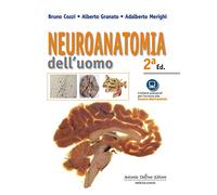 Neuroanatomia dell'uomo