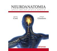 Neuroanatomia. Ediz. illustrata
