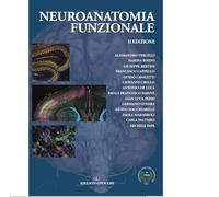 Neuroanatomia funzionale
