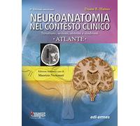 Neuroanatomia nel contesto clinico. Strutture, sezioni, sistemi e sindromi. Atlante