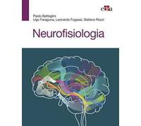 Neurofisiologia
