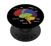 Neuroscienze di anatomia del cervello umano Labeled Lobi Corteccia PopSockets PopGrip Adesivo