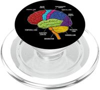 Neuroscienze di anatomia del cervello umano Labeled Lobi Corteccia PopSockets PopGrip per MagSafe