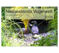 Neuseelands Vogelwelt (Wandkalender 2026 DIN A4 quer), CALVENDO Monatskalender: Eine Reise in die gefiederte Tierwelt am anderen Ende der Erde.