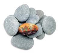 NEUSID 14 pietre piatte da dipingere, 5 - 7 cm, ciottoli piatti per il fai da te, pietre naturali selezionate a mano, con superficie liscia e piana, per arti e acquari, XYFD-00025