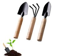 NEUSID Set di attrezzi da giardino, 3 pezzi, paletta da giardino, piccola con manico in legno, pala da giardino, per bonsai, pianta in vaso