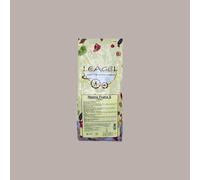 Neutro Frutta 5 a Freddo Leagel a basso dosaggio Preparato in Polvere ideale per Gelato 2 Kg