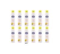 Neutro Roberts - 12 deodoranti spray Fresco, senza sali di alluminio, zero macchie, bergamotto e zenzero, protezione 48 ore, 150 ml, + portachiavi Italy Shop Service in omaggio