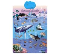 Nevalerra Poster educativo per bambini | Giocattoli di sviluppo interattivi divertenti con suono - poster in classe | per casa aula scuola di famiglia interni esterni vacanze compleanno