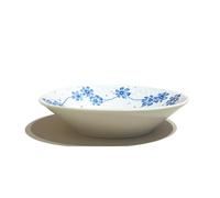 Neve Blu Fiore Cestino Colore Piatto Verdura Casa Ceramica Riso Ciotola Stoviglie Luce Lusso Sollievo Dessert Pomeriggio Tè Colazione Snack Nido D'Uccello Insalata Frutta Gelato Zuppa Pasta