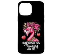 Never Forget How Flamazing You Are Flamingo Amazing Teacher Custodia per iPhone 13 Pro Max