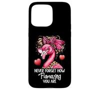 Never Forget How Flamazing You Are Flamingo Amazing Teacher Custodia per iPhone 15 Pro Max