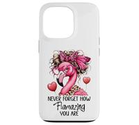 Never Forget How Flamazing You Are Flamingo Teacher Amazing Custodia per iPhone 13 Pro