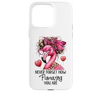 Never Forget How Flamazing You Are Flamingo Teacher Amazing Custodia per iPhone 15 Pro Max
