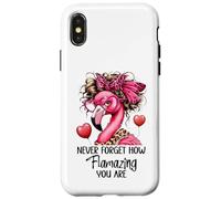Never Forget How Flamazing You Are Flamingo Teacher Amazing Custodia per iPhone X/XS