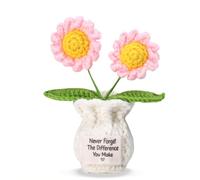 Never Forget the Difference You Make - Margherita gialla postiva all'uncinetto, regalo di ringraziamento per colleghi, amici, insegnanti, vasi di fiori all'uncinetto, regalo per compleanno e Natale