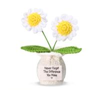 Never Forget the Difference You Make - Margherita rosa all'uncinetto, regalo di ringraziamento per colleghi, amici, insegnanti, vasi di fiori all'uncinetto, regalo per compleanno e Natale