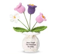 Never Forget the Difference You Make Orchidea postiva all'uncinetto, regalo di ringraziamento per colleghi, amici, insegnanti, vasi di fiori all'uncinetto per compleanno Natale