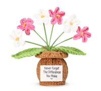 Never Forget the Difference You Make Postive Crochet Forget-Me-Nots, regalo di ringraziamento per colleghi, amici, insegnanti, vasi di fiori all'uncinetto per compleanno Natale