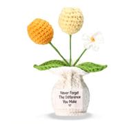 Never Forget the Difference You Make Tulipani postivi all'uncinetto, regalo di ringraziamento per colleghi, amici, insegnanti, vasi di fiori all'uncinetto per compleanno Natale