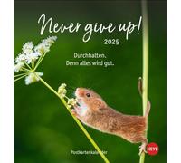 Never give up! Postkartenkalender 2025: Süße Tiere in einem Postkarten-Fotokalender mit motivierenden Botschaften. Kleiner Kalender zum Aufstellen und Aufhängen.